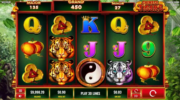 Chinese tigers Platipus