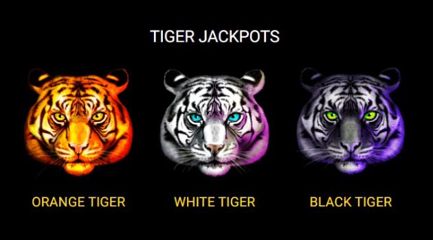 Tiger jackpots